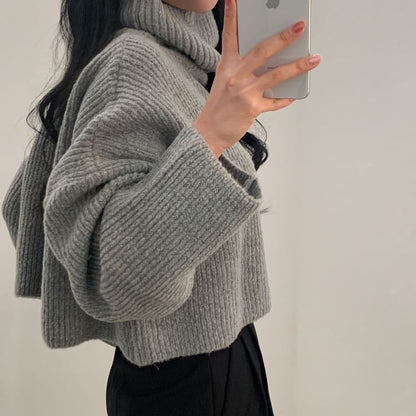 Ribbed Turtleneck Sweater in Solid Tone