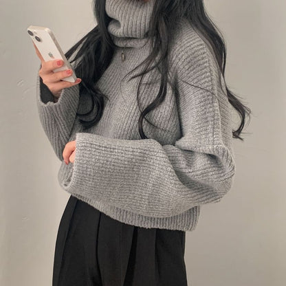 Ribbed Turtleneck Sweater in Solid Tone
