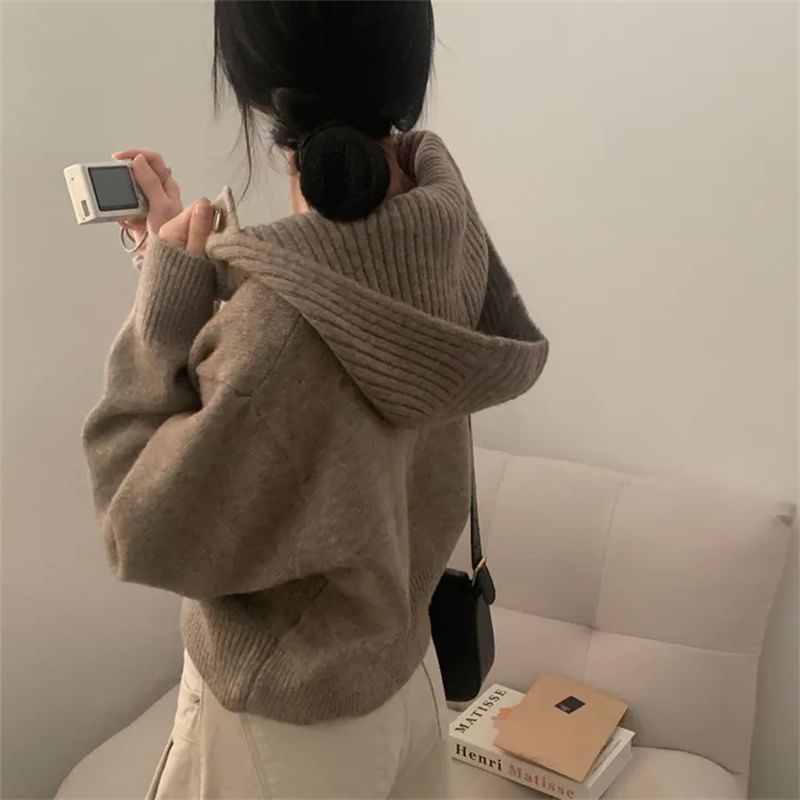 Stand Collar Plain Hood Cardigan
