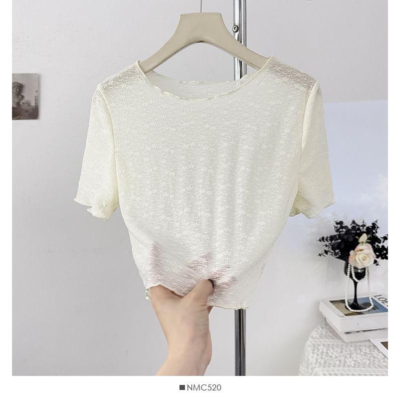 Short Sleeve Scoop Neck Lace Sheer Crop Top