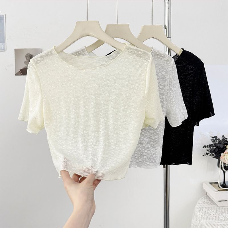 Short Sleeve Scoop Neck Lace Sheer Crop Top