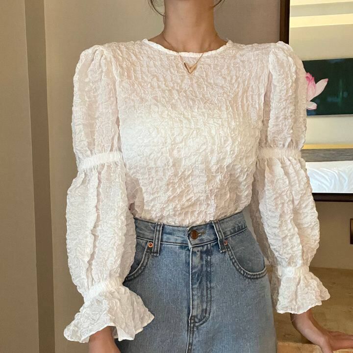 Textured Blouse with Puff Sleeves and Crew Neck in Solid