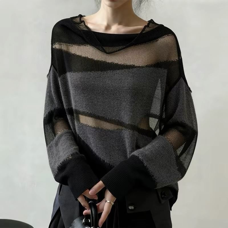 Cowl Neck Sheer Knit Long Sleeve