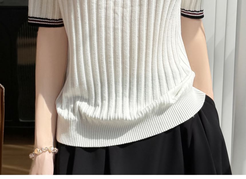 Striped Trim Polo Knit Tee with Short Sleeves