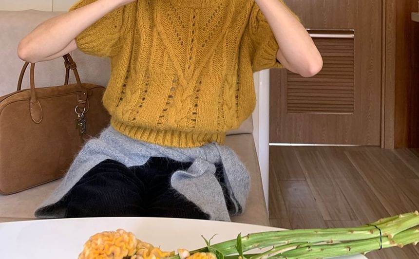 Puffed Sleeve Crew Neck Knit Top