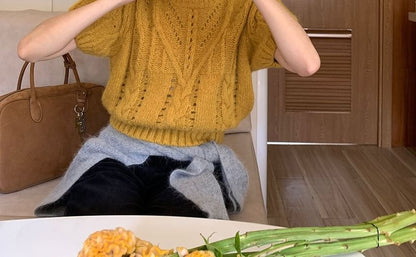 Puffed Sleeve Crew Neck Knit Top