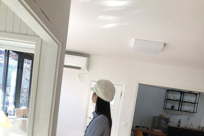 Gingham Peter Pan Collar Button Shirt