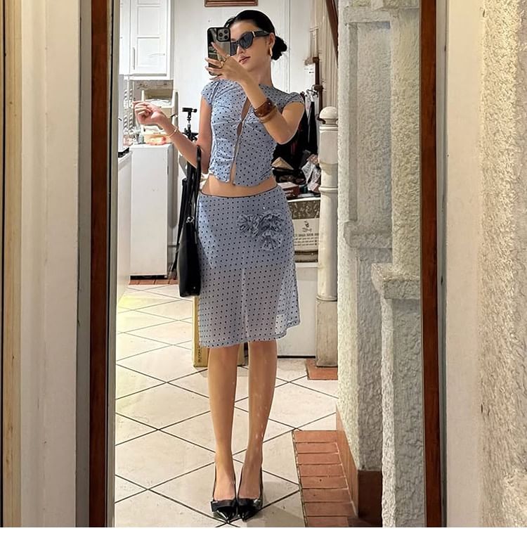 Short-Sleeve Crew Neck Polka Dot Cutout Sheer Crop Top / Low Rise A-Line Skirt