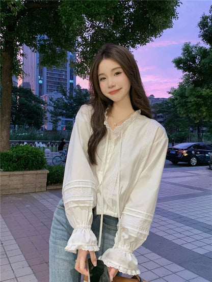 Stand Collar Lace Panel Crop Blouse Long Sleeve