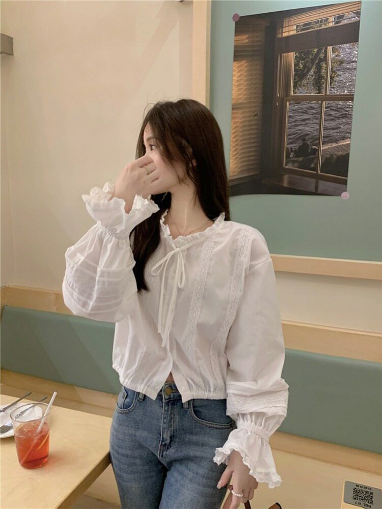 Stand Collar Lace Panel Crop Blouse Long Sleeve