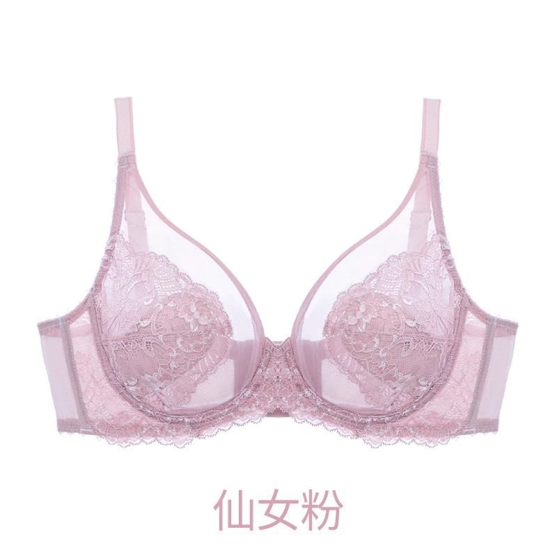 Plain Mesh Panel Lace Bra / Panty / Set