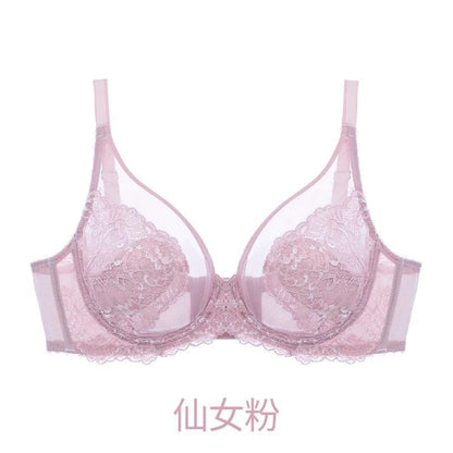 Plain Mesh Panel Lace Bra / Panty / Set