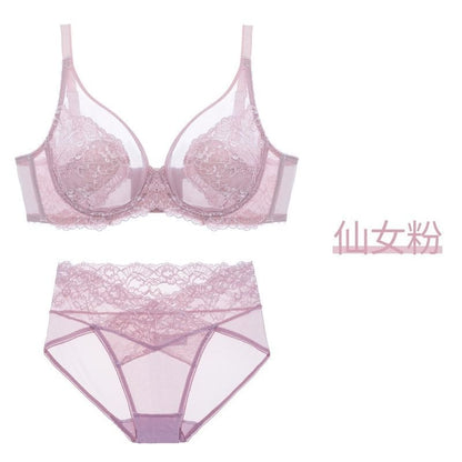 Plain Mesh Panel Lace Bra / Panty / Set