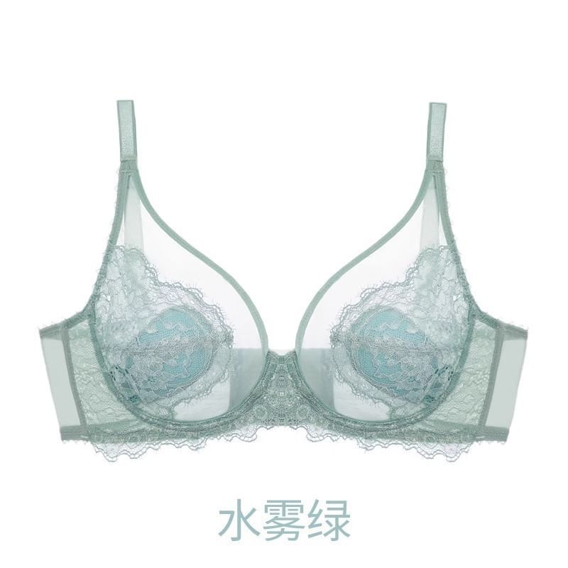 Plain Mesh Panel Lace Bra / Panty / Set