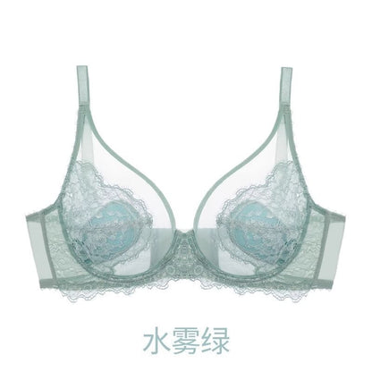 Plain Mesh Panel Lace Bra / Panty / Set