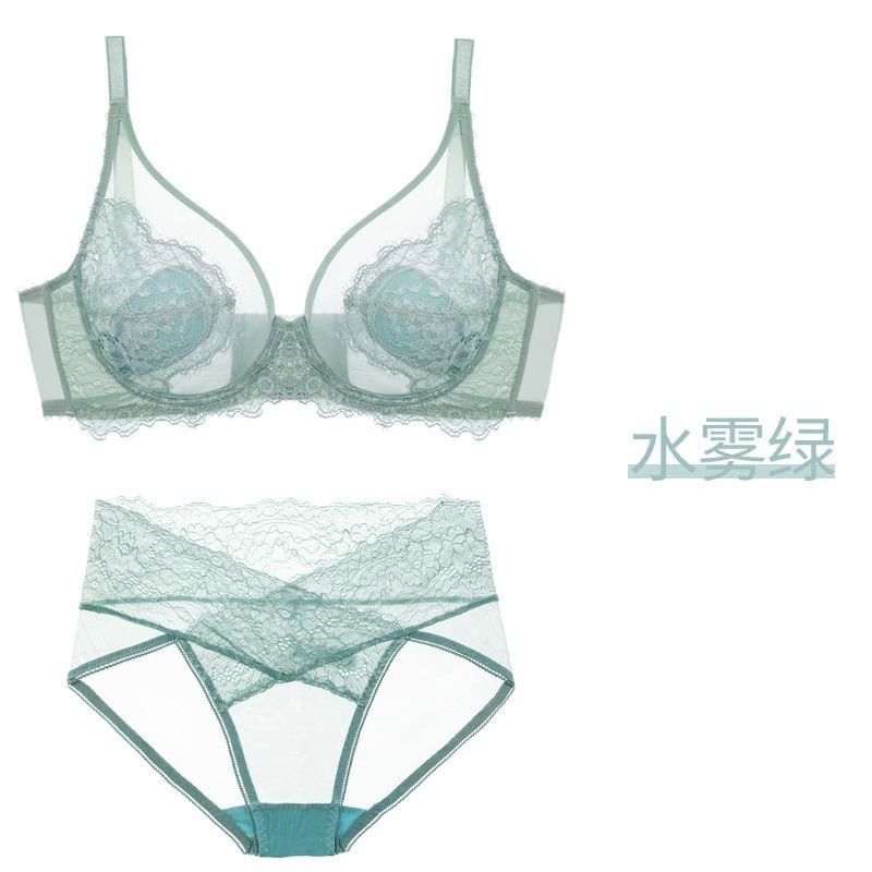 Plain Mesh Panel Lace Bra / Panty / Set