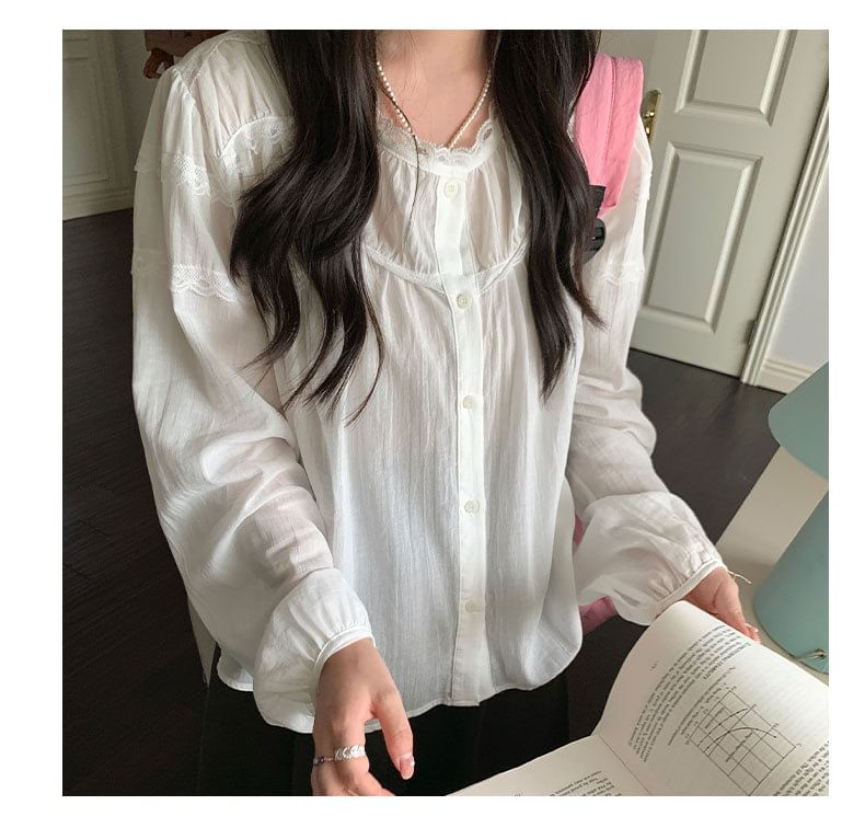 Long-Sleeve Crew Neck Lace Trim Sheer Blouse