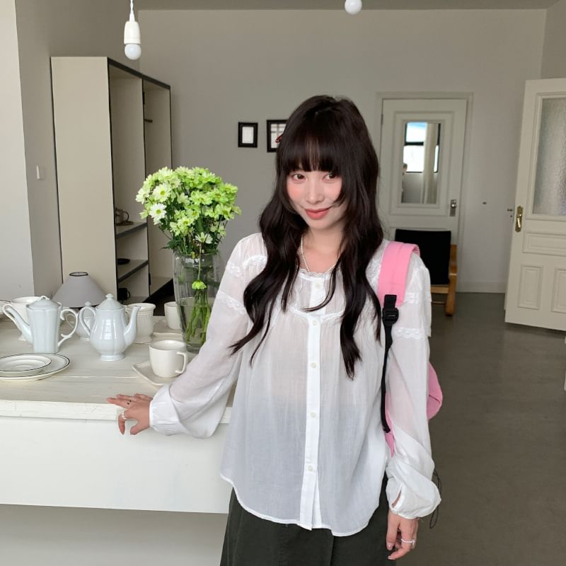 Long-Sleeve Crew Neck Lace Trim Sheer Blouse