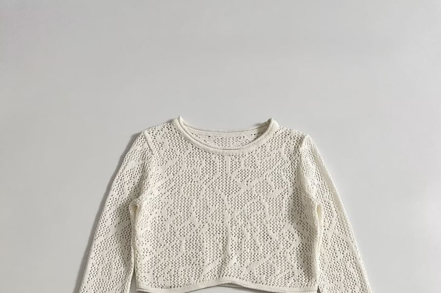 Long-Sleeve Crew Neck Plain Perforated Crop Knit Top