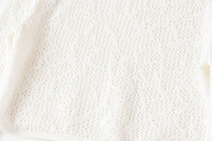 Long-Sleeve Crew Neck Plain Perforated Crop Knit Top