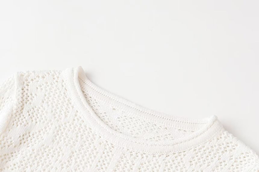 Long-Sleeve Crew Neck Plain Perforated Crop Knit Top