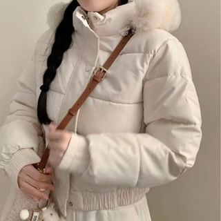 Hooded Furry Trim Zip-Up Puffer Jacket
