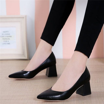 Pointy-Toe Chunky-Heel Pumps