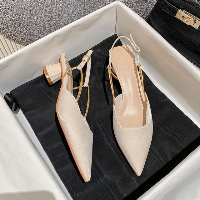 Slingback Pointed Pumps