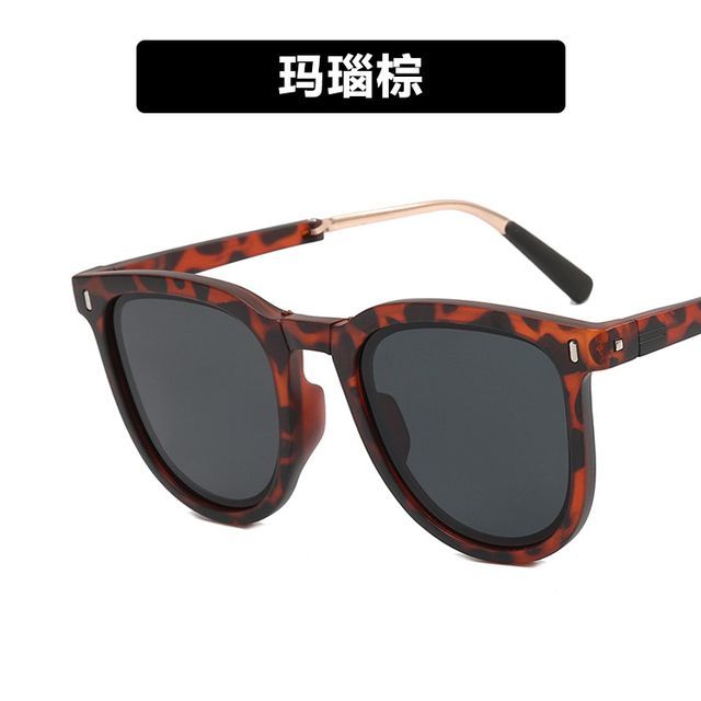 Retro Foldable Sunglasses / Sunglass Case