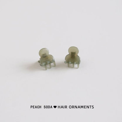 Lot de 2 : Pince à cheveux en acrylique