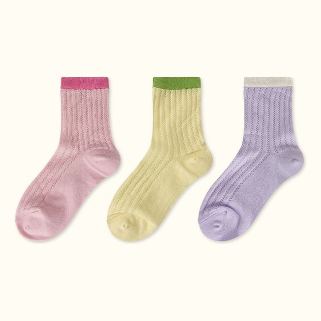 Contrast Trim Pointelle Knit Socks / Set