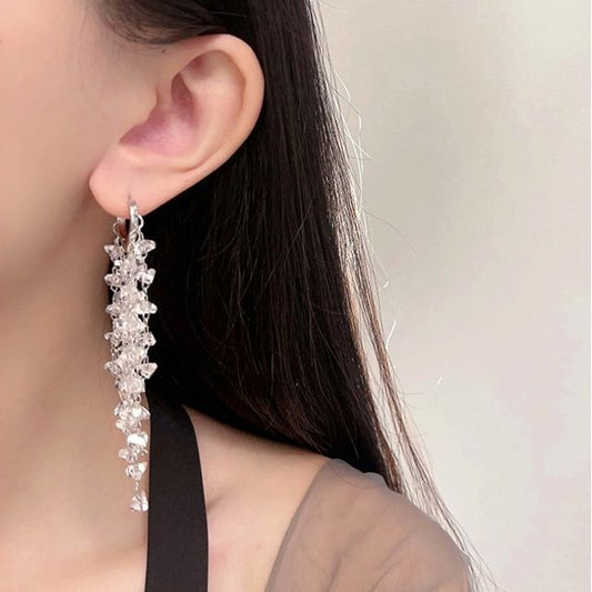 Earring Crystal Fringed Faux Alloy
