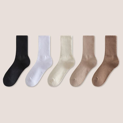 Set of 5: Plain Ribbed Socks