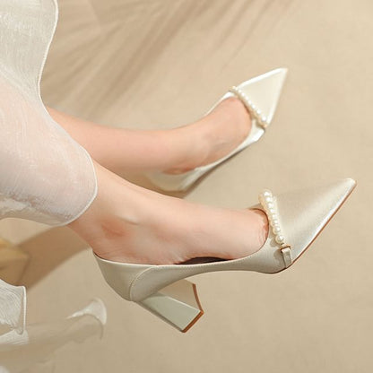High Heel Pointy Pumps