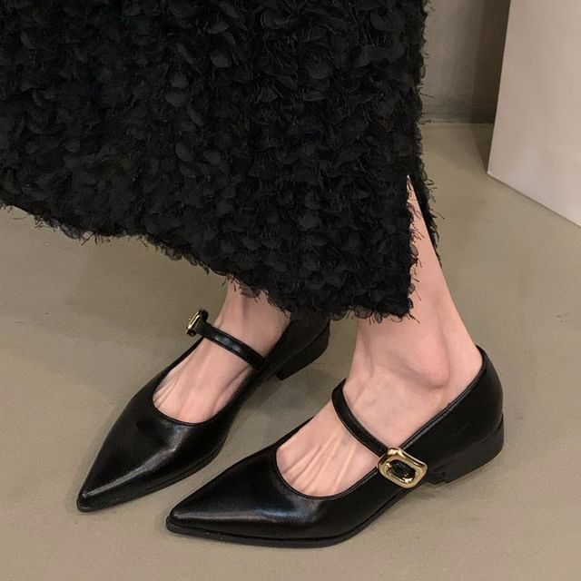 Pointy Toe Mary Jane Shoes