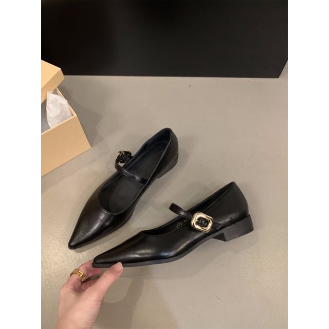 Pointy Toe Mary Jane Shoes