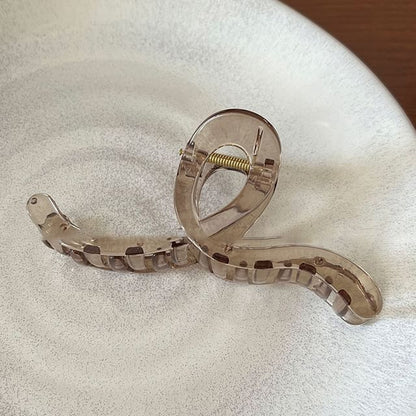 Acrylic Hair Clamp