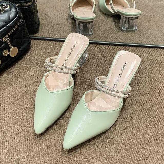 Pointed Toe Block Heel Mary Jane Mules