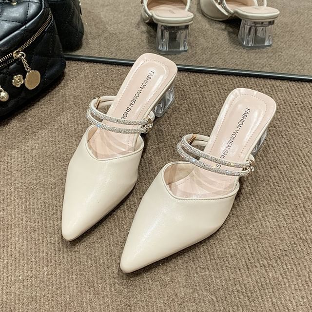 Pointed Toe Block Heel Mary Jane Mules