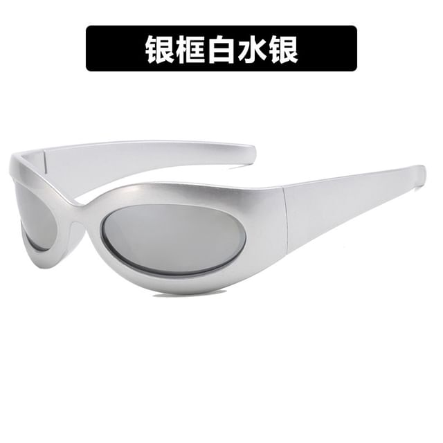 Thick Rimmed Oval Sunglasses