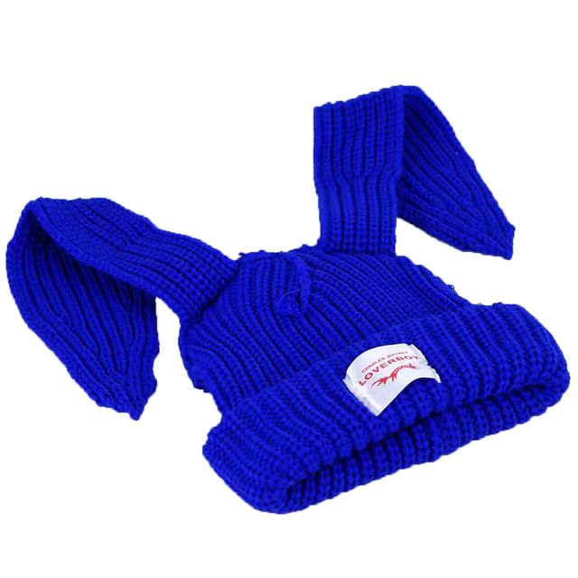Rabbit Ear Ribbed Beanie