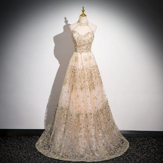 Sleeveless Mandarin Collar Sequin Patterned Mesh A-Line Evening Gown