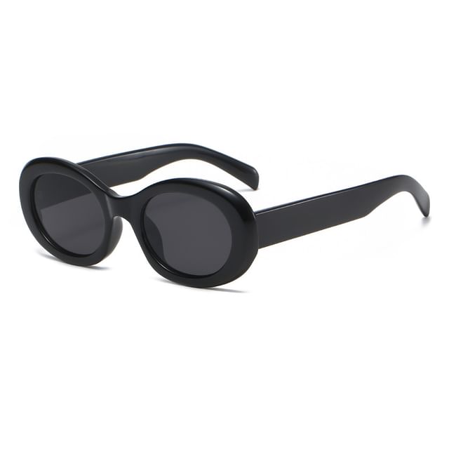 Oval Resin Sunglasses