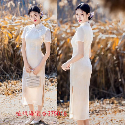Short Sleeve Lace Panel Jacquard Midi Sheath Qipao