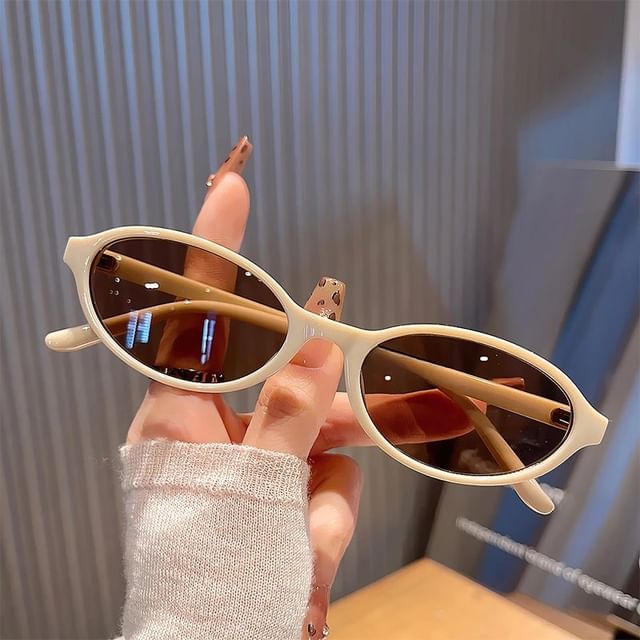 Oval Plastic Frame Sunglasses / Case / Pouch / Cleaning Cloth / Set