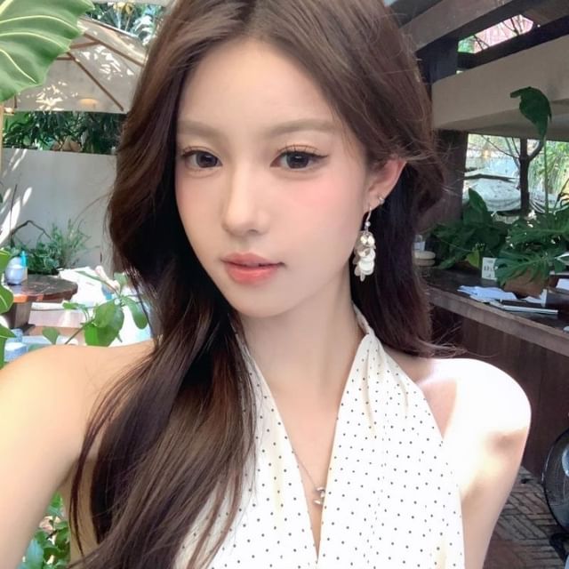 Earring Hook Disc Shell Dangle