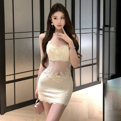 Spaghetti Strap Plain Mesh Panel Lace Mini Sheath Dress