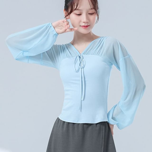 Mesh Cropped Tee with V-Neckline and Long Sleeves