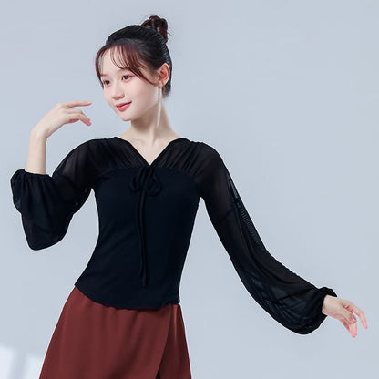 Mesh Cropped Tee with V-Neckline and Long Sleeves