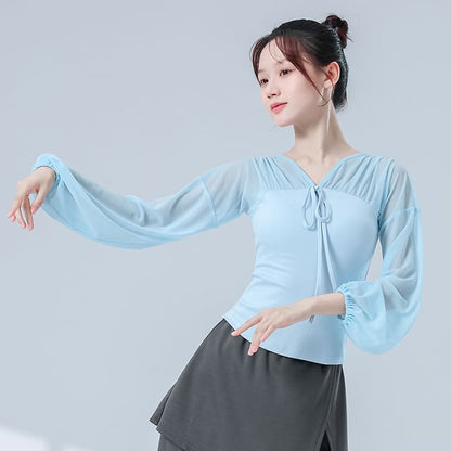 Mesh Cropped Tee with V-Neckline and Long Sleeves